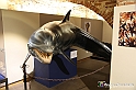 VBS_9135 - Museo Paleontologico - Asti